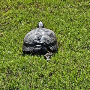 Extra shipping label